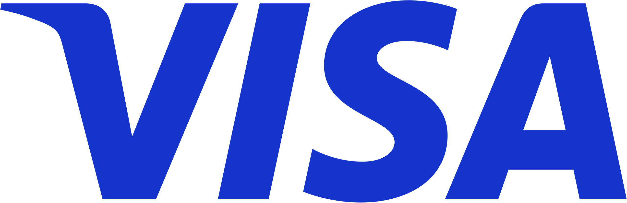 Visa 2021.svg